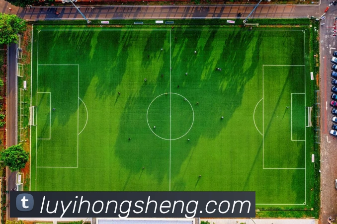 App Interface Preview